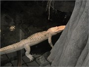 04162011_San Francisco_88
